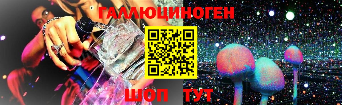 Шуя  Псилоцибиновые грибы Magic Shrooms  Вход с VPN  Галлюциногенные грибы Psilocybine cubensis 
